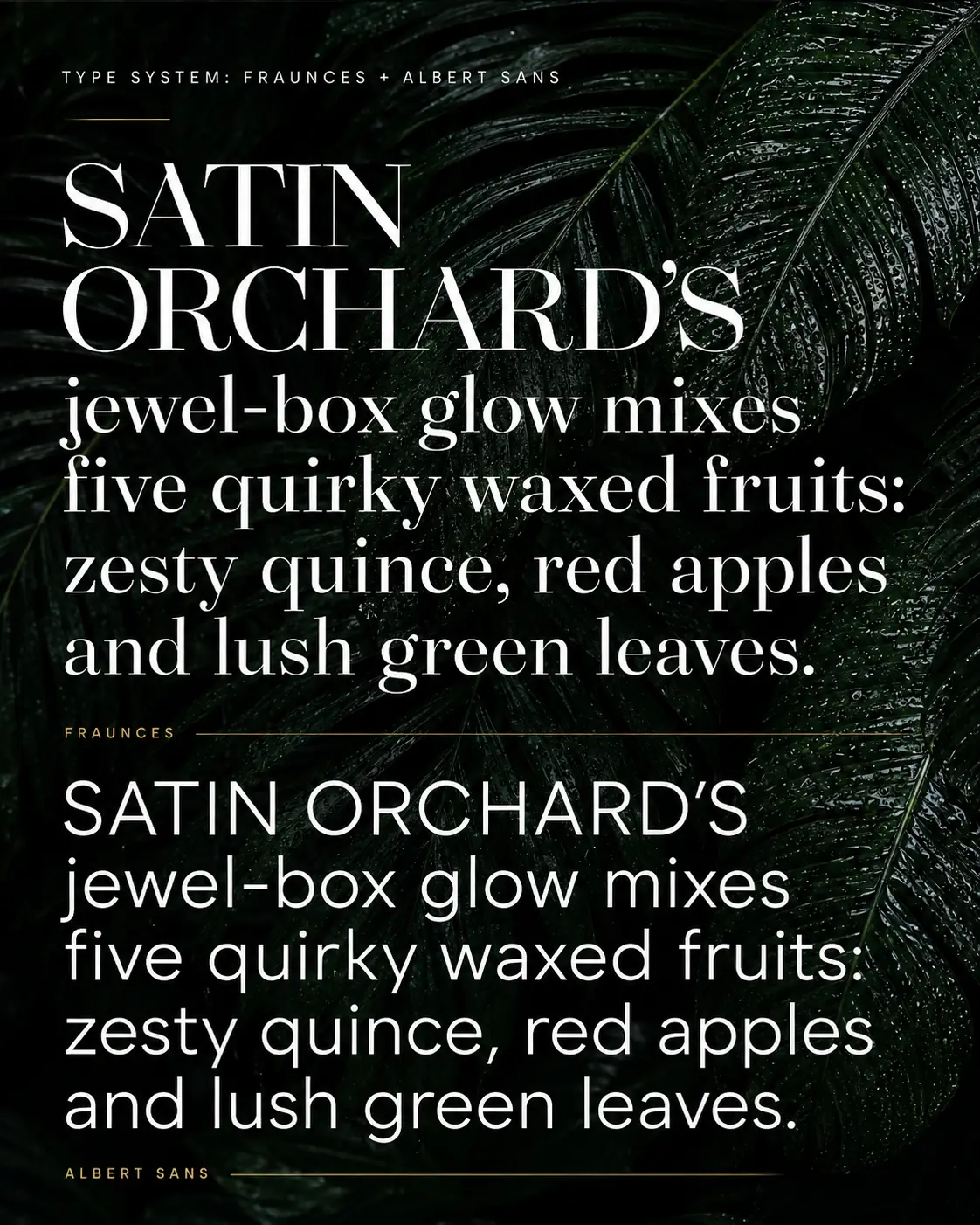 Satin Orchard type system using a high-contrast serif and clean sans serif