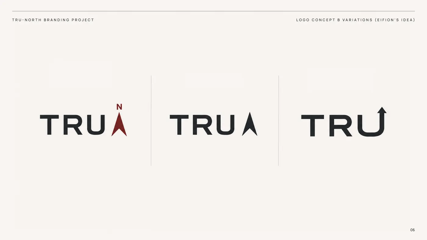 Three simplified Tru-North wordmark ideas