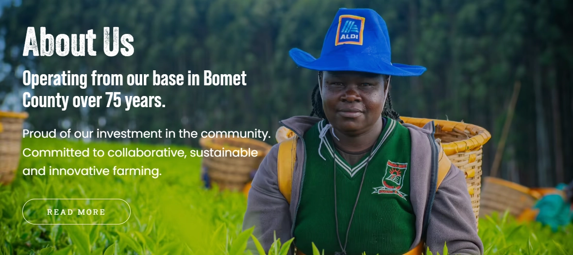 About Us webpage featuring a woman wearing a blue hat in the tea fields