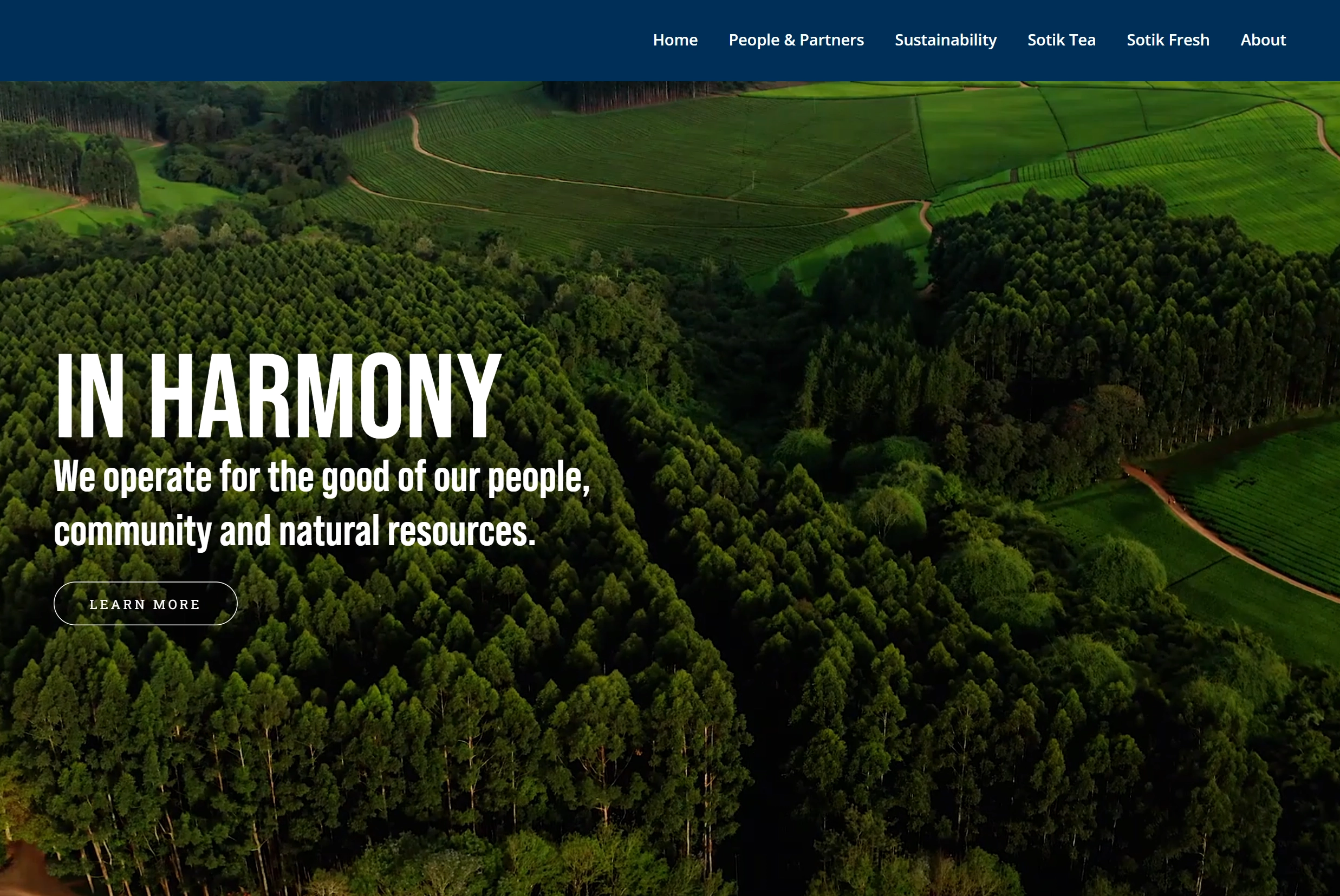 In Harmony sustainability webpage with an aerial view of the tea landscape