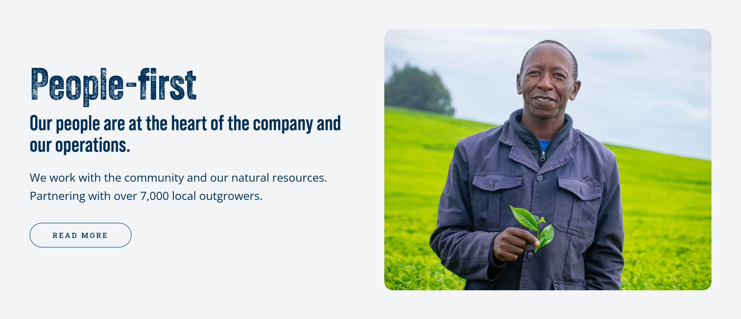 People-first section featuring a Sotik team member in the tea fields